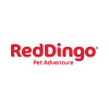 Red Dingo